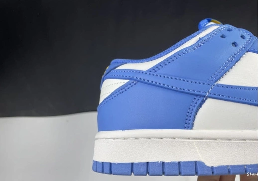 Nike Dunk DD1503-100 Low Coast (W) 1216